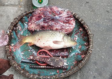 Sem mě už nikdy nedostaneš, řekla mi přítelkyně, když jsem jí ve Vietnamu nabídl oční bulvy z ryby jako delikatesu