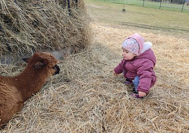 Návštěva kontaktní zoo v Zelčíně je skvělý tip pro rodiny s dětmi