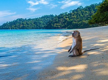 Nejkrásnější thajský ostrov může být Koh Jum: Odpočinkový ráj plný opic