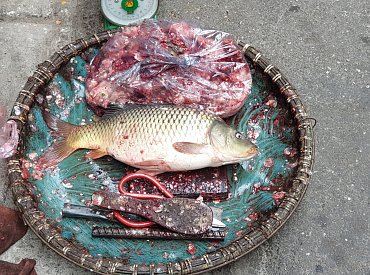 Sem mě už nikdy nedostaneš, řekla mi přítelkyně, když jsem jí ve Vietnamu nabídl oční bulvy z ryby jako delikatesu