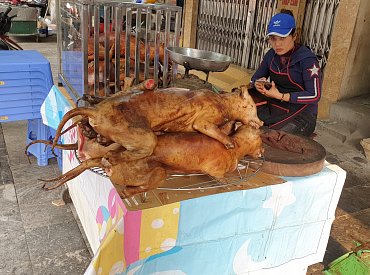 Vietnamci Vánoce nemají, přesto je vesele slaví. Svátek Tết slaví tři dny a dají si i psa