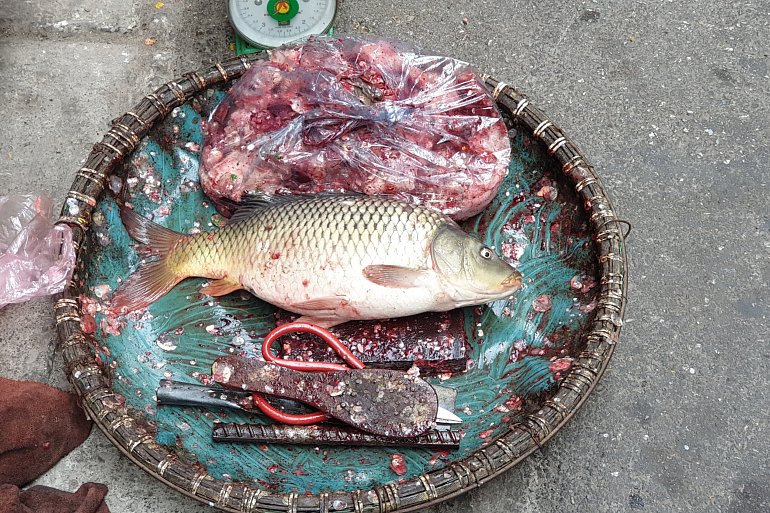 The Economics of New Hampshire's Craft Beer Industry