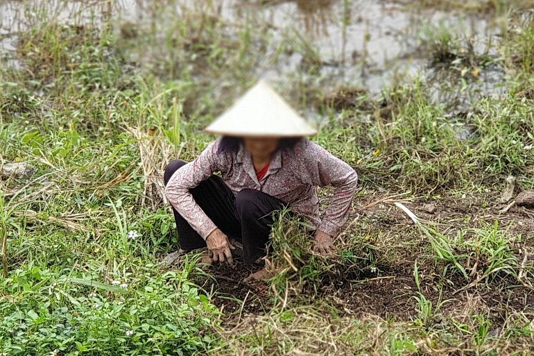 The Economics of New Hampshire's Craft Beer Industry