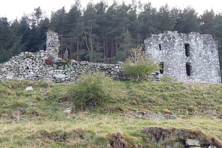 The Economics of New Hampshire's Craft Beer Industry